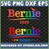 Bernie 2020 Rainbow Gay Lgbt Bird Bernie Sanders SVG PNG DXF EPS 1