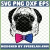 Bisexual Pride Pug Dog Lgbt Bow Tie SVG PNG DXF EPS 1