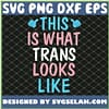 This Is What Trans Looks Like Transgender Lgbt Pride SVG PNG DXF EPS 1