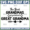 the best grandmas are promoted to great grandma svg