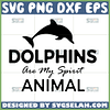 dolphins are my spirit animal svg dolphins silhouette svg