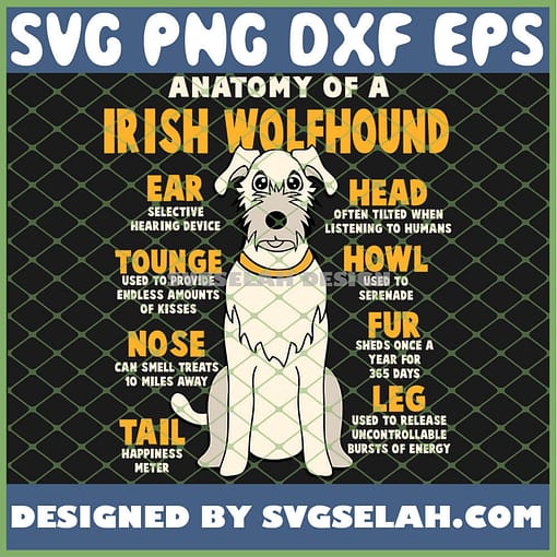 Anatomy Of A Irish Wolfhound SVG PNG DXF EPS 1