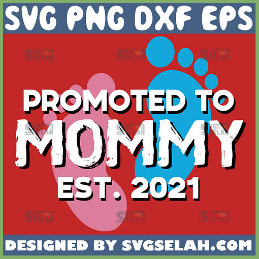 Promoted To Mom Est 2021 Svg Pink And Blue Baby Feet Svg 1